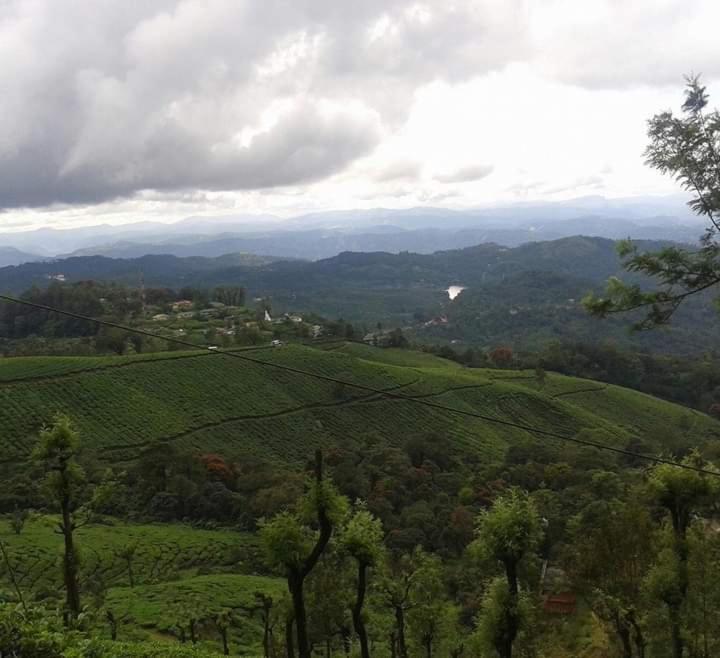 Munnar Lush Greens Buitenkant foto