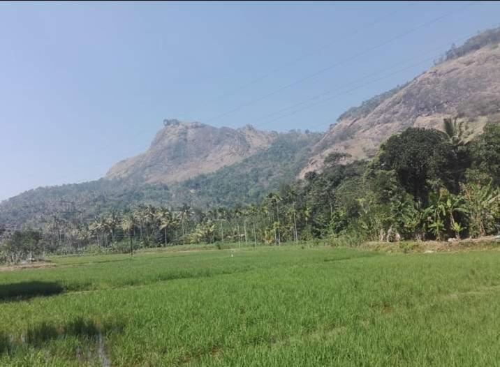 Munnar Lush Greens Buitenkant foto