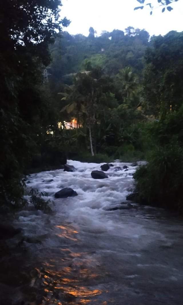 Munnar Lush Greens Buitenkant foto